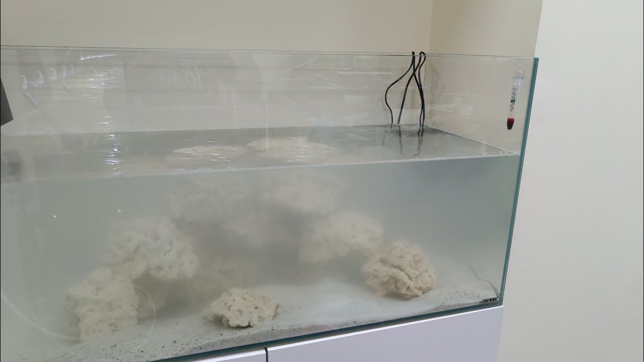 La sal. Montaje acuario marino .Video tutorial 7 : Muy importante .