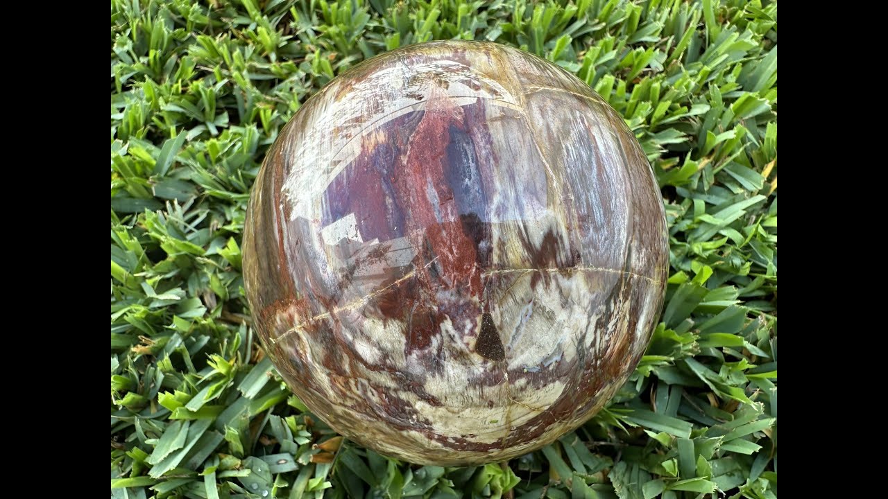 Bola Esfera de Madera Petrificada 2,330 grs Calidad Triple AAA