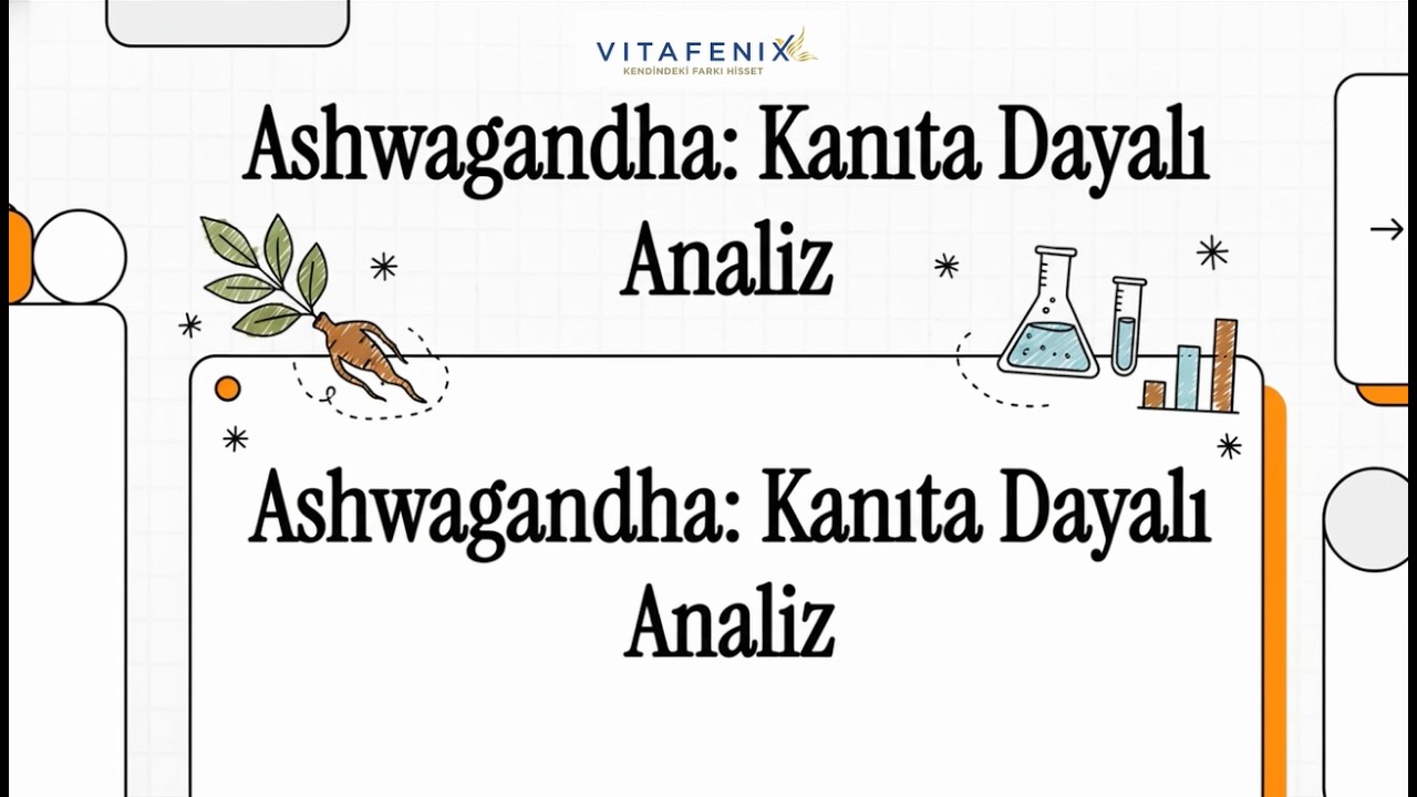 Ashwaganda Nedir? Faydaları Nelerdir?