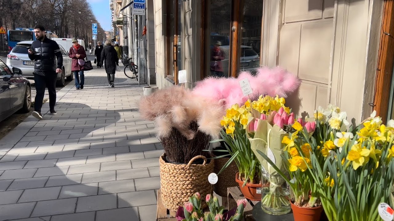 Signs of spring in Stockholm. Relaxing walk. 