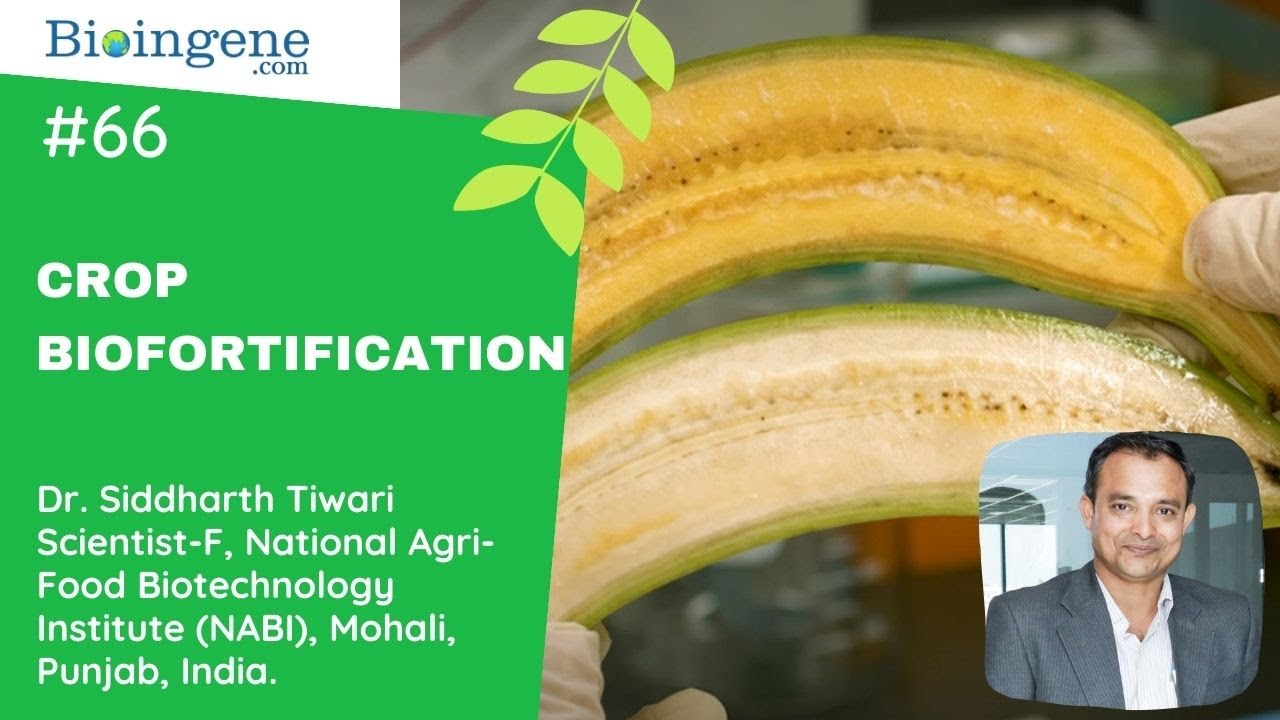 International Webinar on Crop Biofortification for Nutritional Security