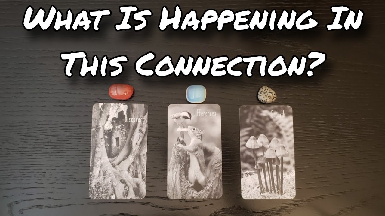 🥴💕 What Is Happening In This Connection? Pick A Card Love Reading 