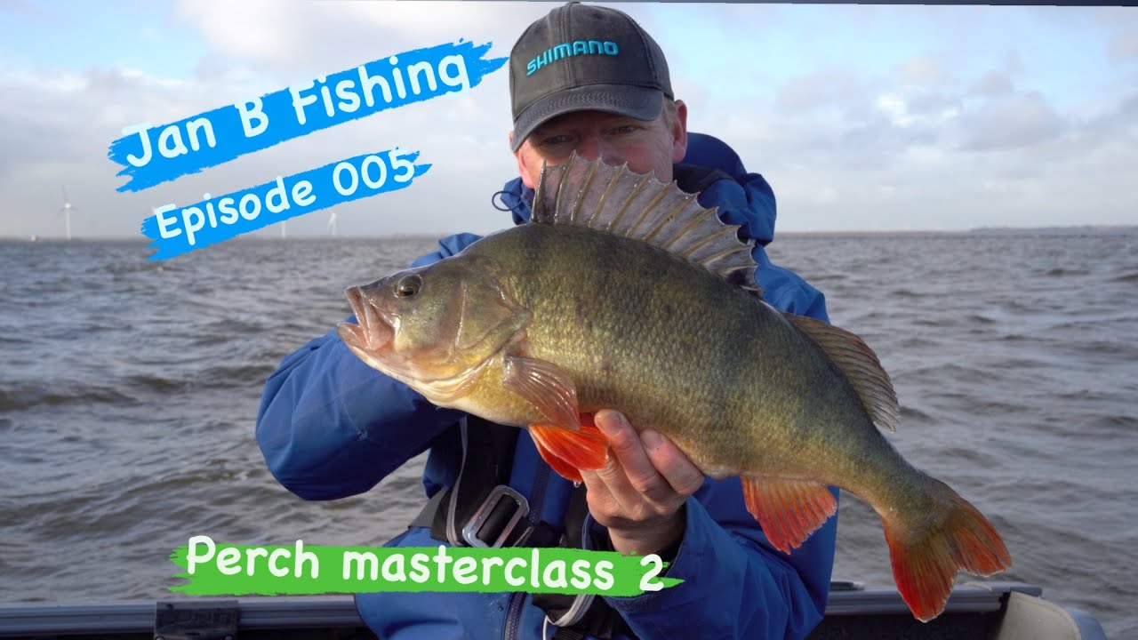 Perch Masterclass 2 Jan B Fishing Episode 005