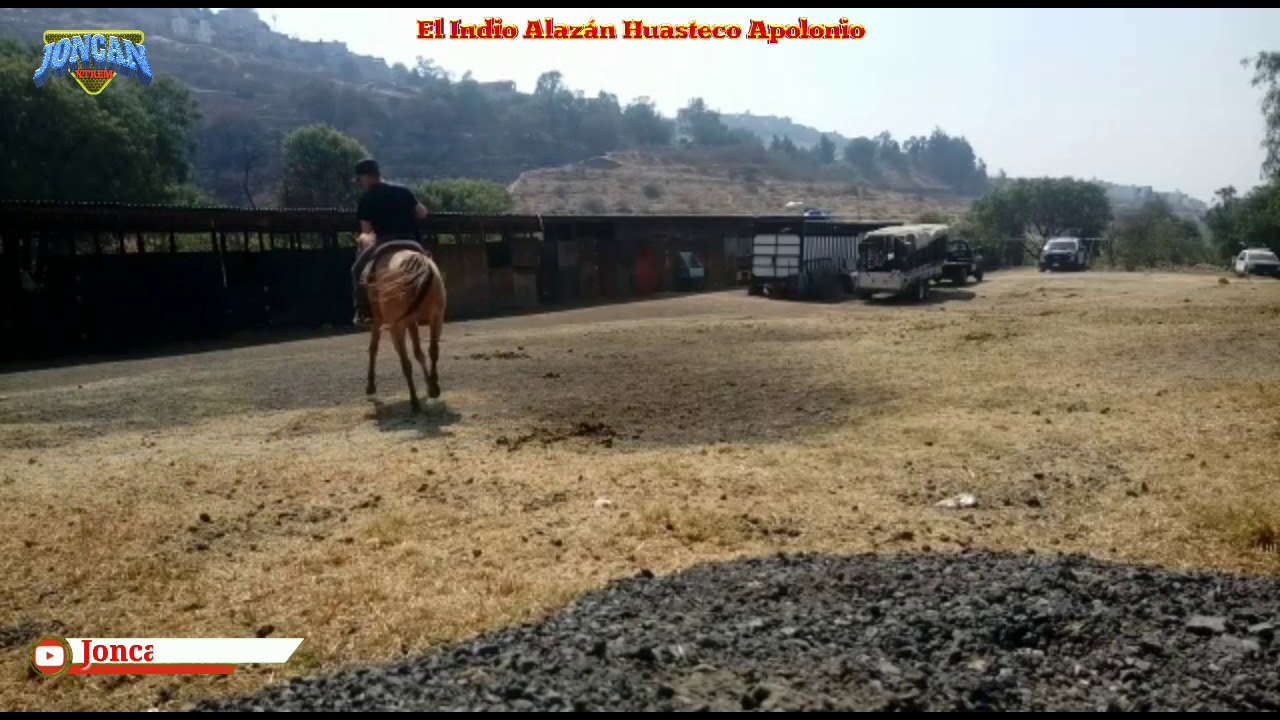 El toro pesado | Grupo Exterminador