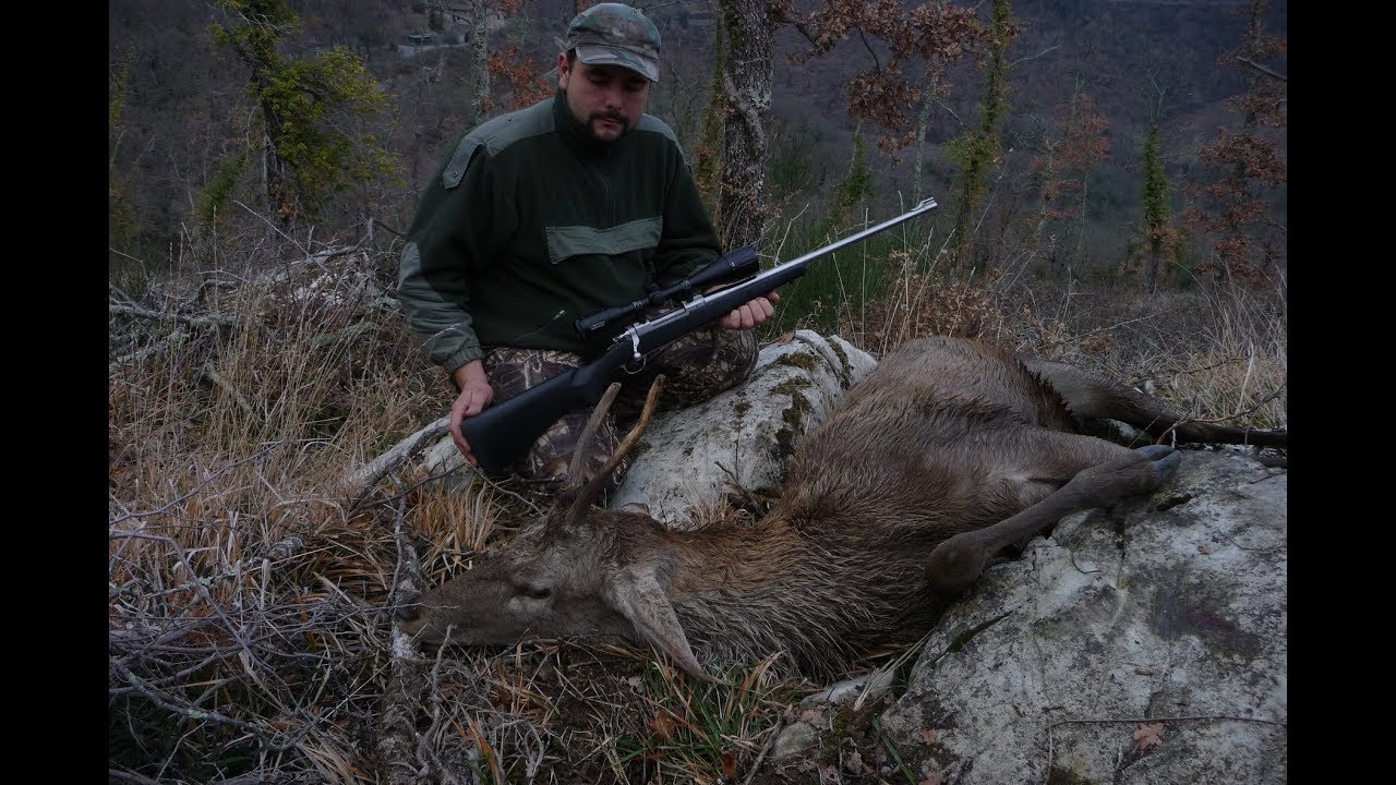 TUT 8 Il mio calibro universale: .300 winchester magnum. Armi e munizioni ideali