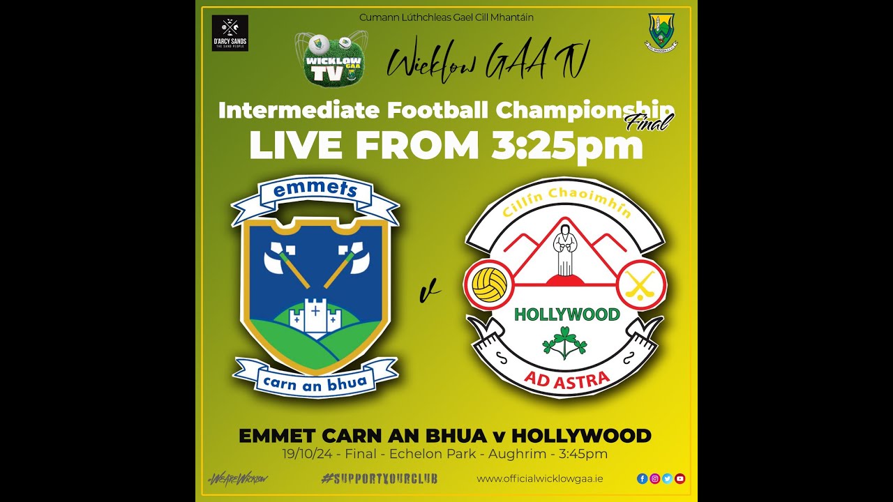 IFC Final | Carnew Emmets v Hollywood