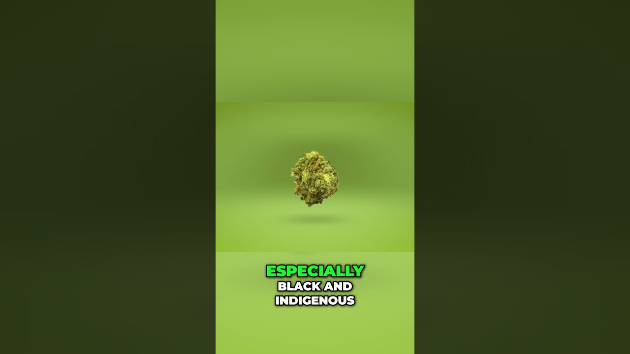 Cannabis Justice: Legalization, Equity, and Reparations #shorts