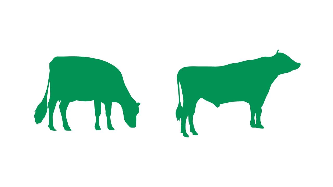 Better breeding selection with genetics