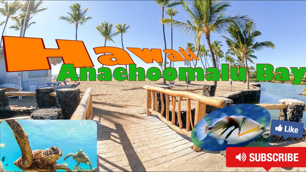Big Island Hawaii | Waikoloa Beach Resort | Anaehoomalu Bay Pt.1