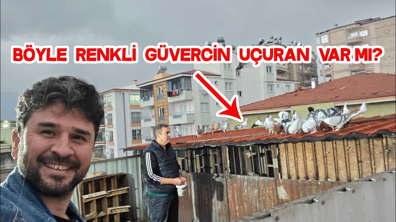 Muhtarın Güvercinleri İstanbullu Kırkkuyrukta O Bir Marka
