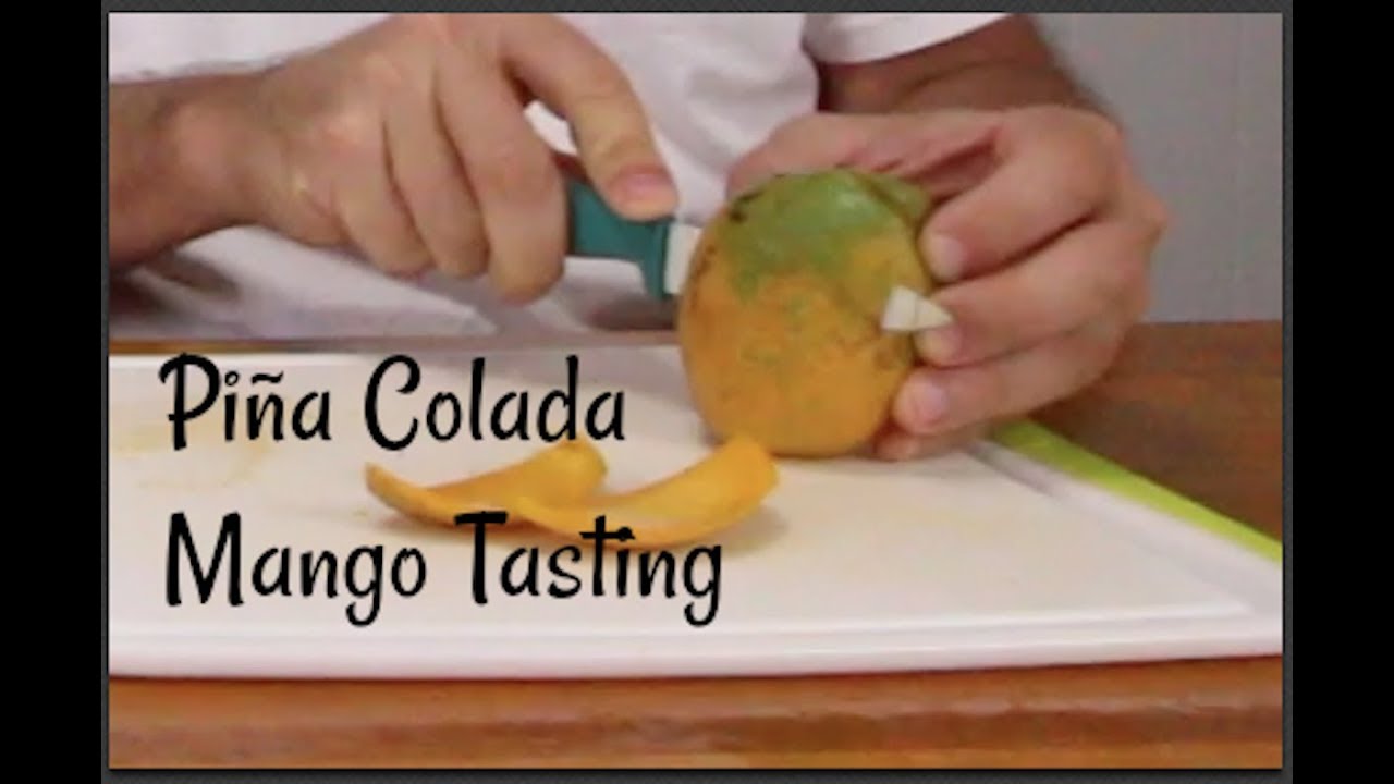 Our Favorite Mango? Tasting Pina Colada Mango