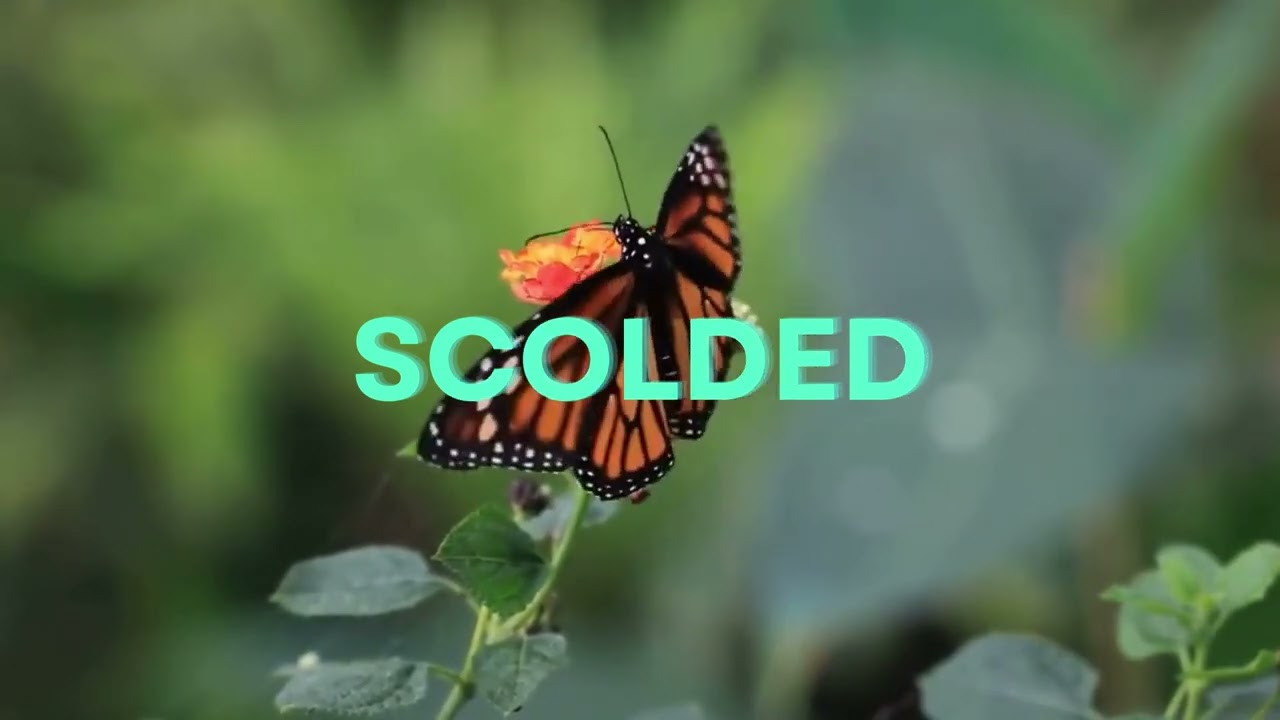 John Bam - Scolded (Official Music Video)