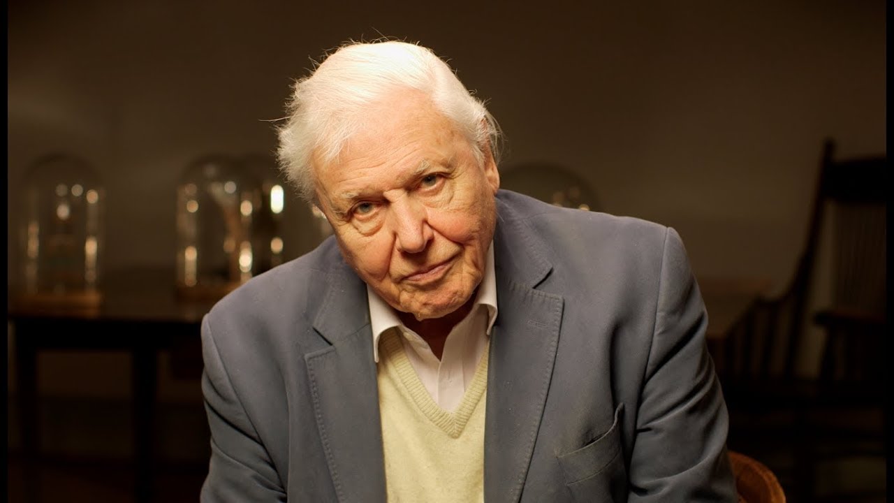 David Attenborough: What can I do?