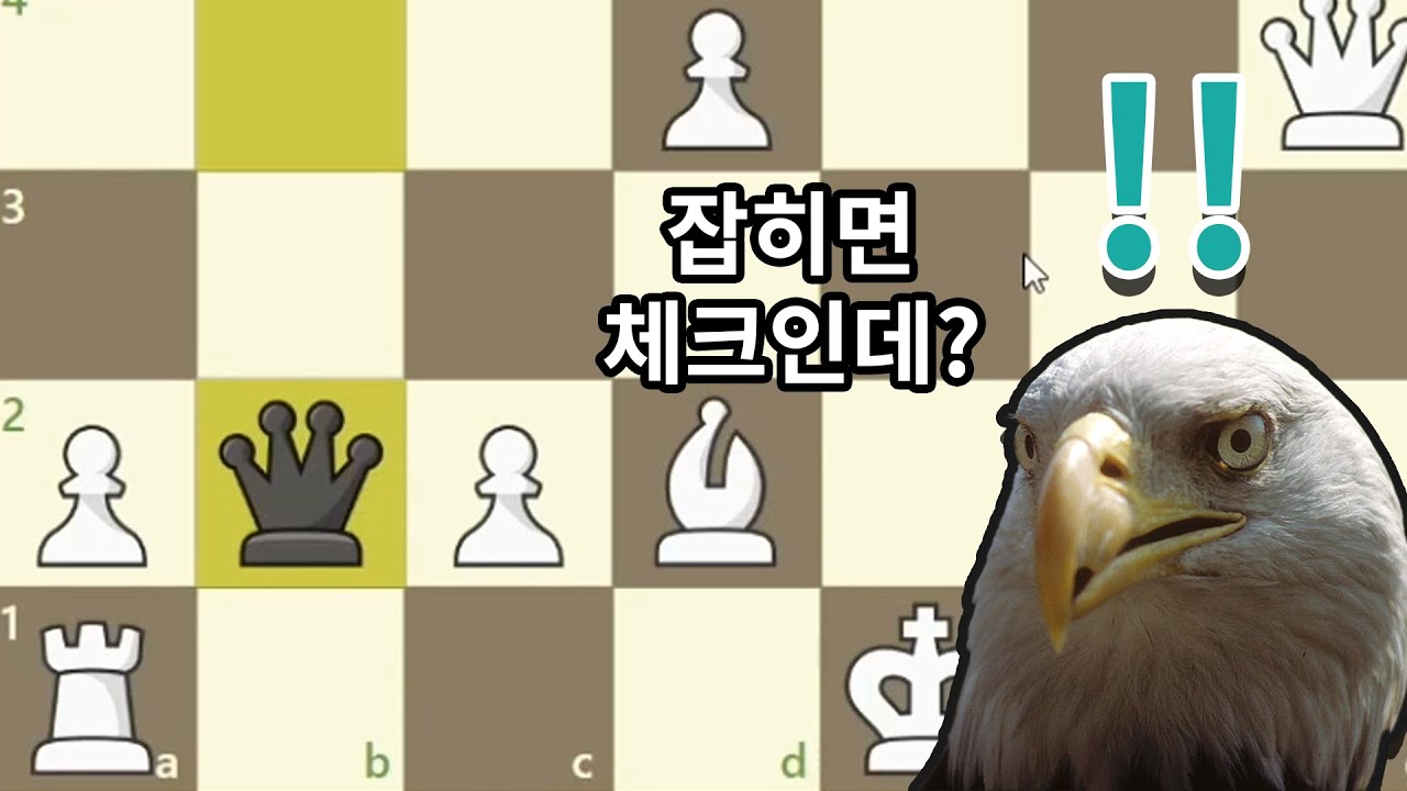 일부러 룩을 주는 미친 독수리 [카로칸 클래시컬]