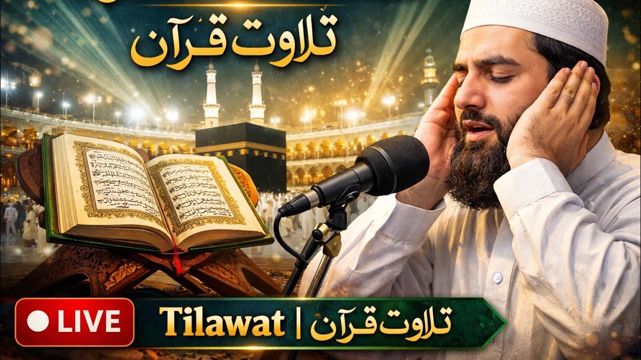 Soothing Quran Recitation Live | Heart Touching Tilawat
