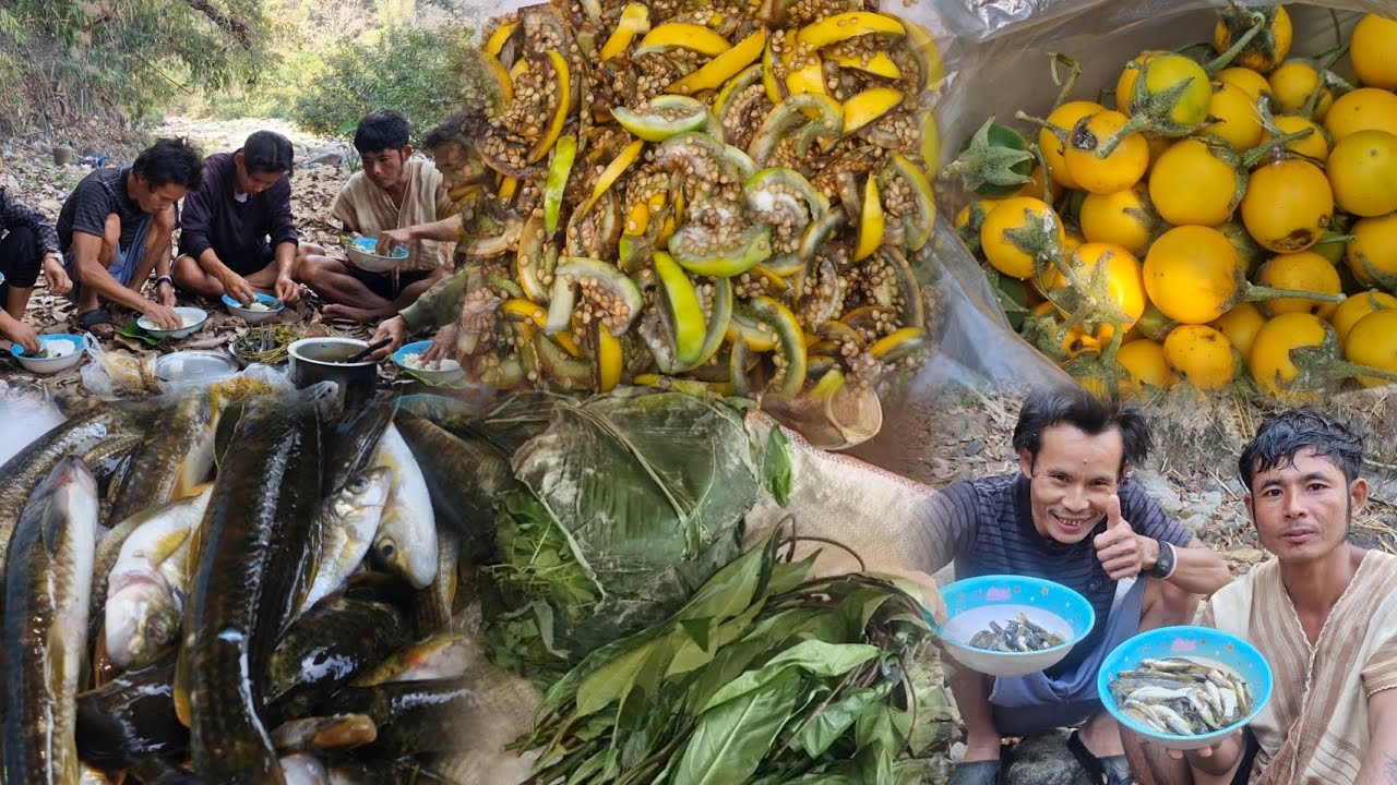 11/3/2026 လဲၤဟးလၢဒီပုၢ်ဝဲၢ်စီပျၢ်အိၣ်