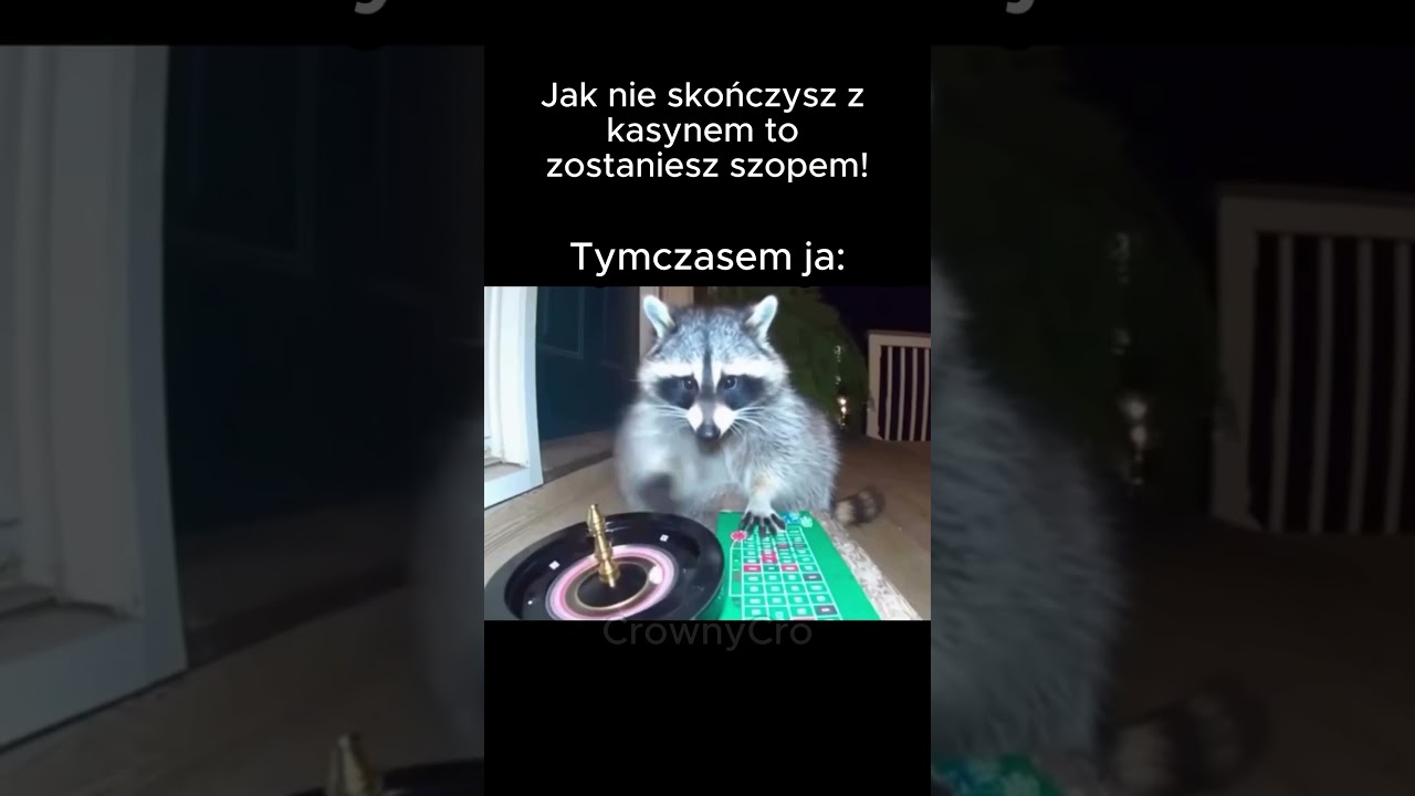 Każdy m&oacute;wił&hellip; nikt nie posłuchał 🔥