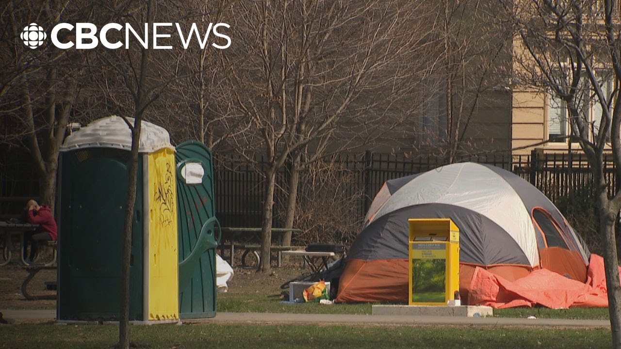 Could micro shelters solve Toronto's homelessness crisis? Advocates say yes