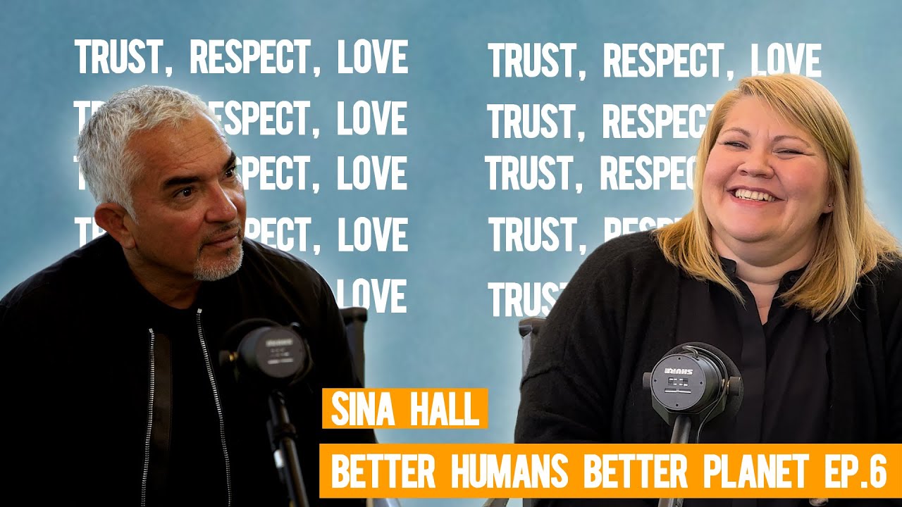 Helping refugees through hard times (feat. my Europe Live Show Promoter, Sina Hall) | BHBP EP. 6