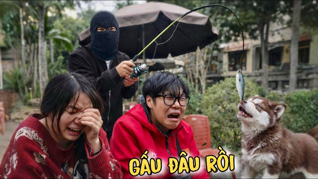 Toàn Ngơ | Troll Dùng Cần Máy Câu Trộm Chó Gấu Alaska Của Dương KC