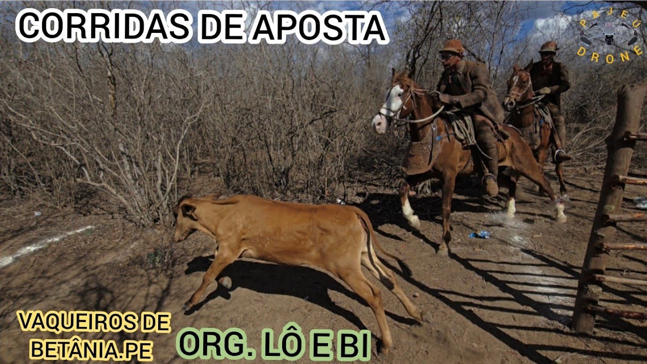 (DRONE) CORRIDAS DE APOSTA SÍTIO CACHOEIRA SÍTIO DOS NUNES-PE ORG. LÔ E BI 