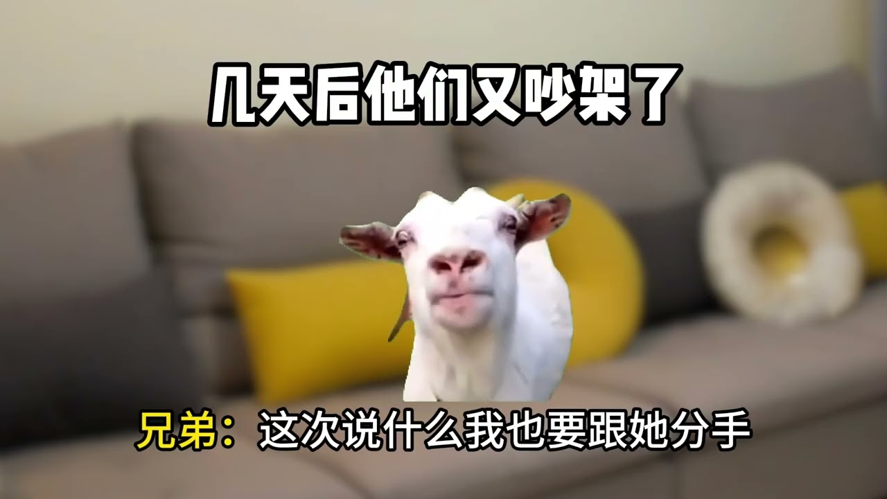 兄弟背刺我 