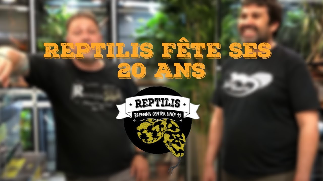 REPTILIS FETE SES 20 ANS !! (interview feat. Bebesaurus)