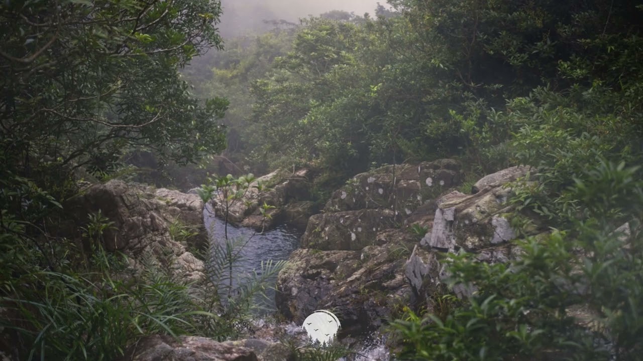 Memories of the Forgotten - Mountain Streams
