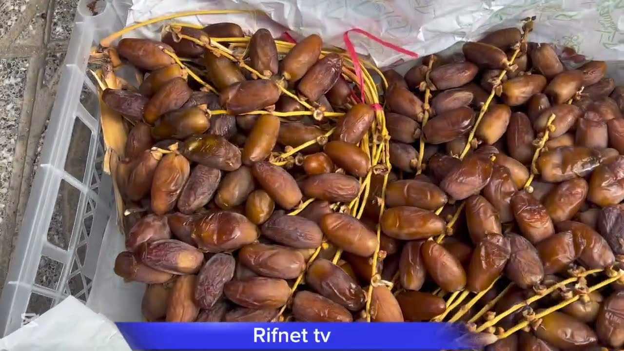 جولة بمدينة الناظور 