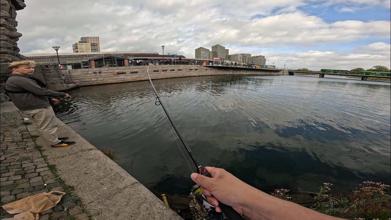 Malmö Canals Fishing With Friends