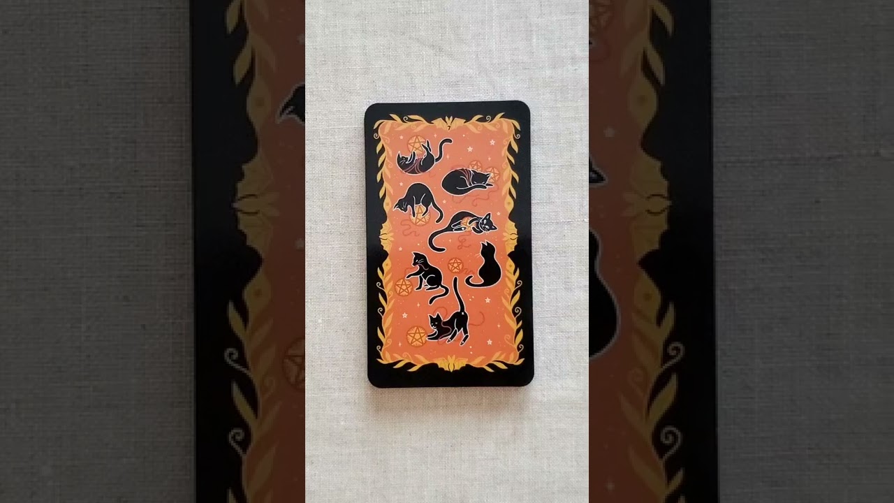 Happy Halloween Tarot Flip Through