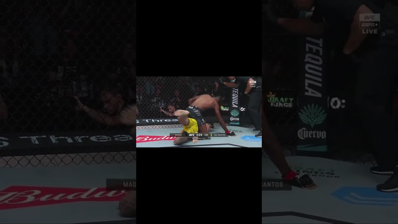 Neil Magny TKO&rsquo;s Elizeu Zaleski with vicious ground and pound #ufc #mma