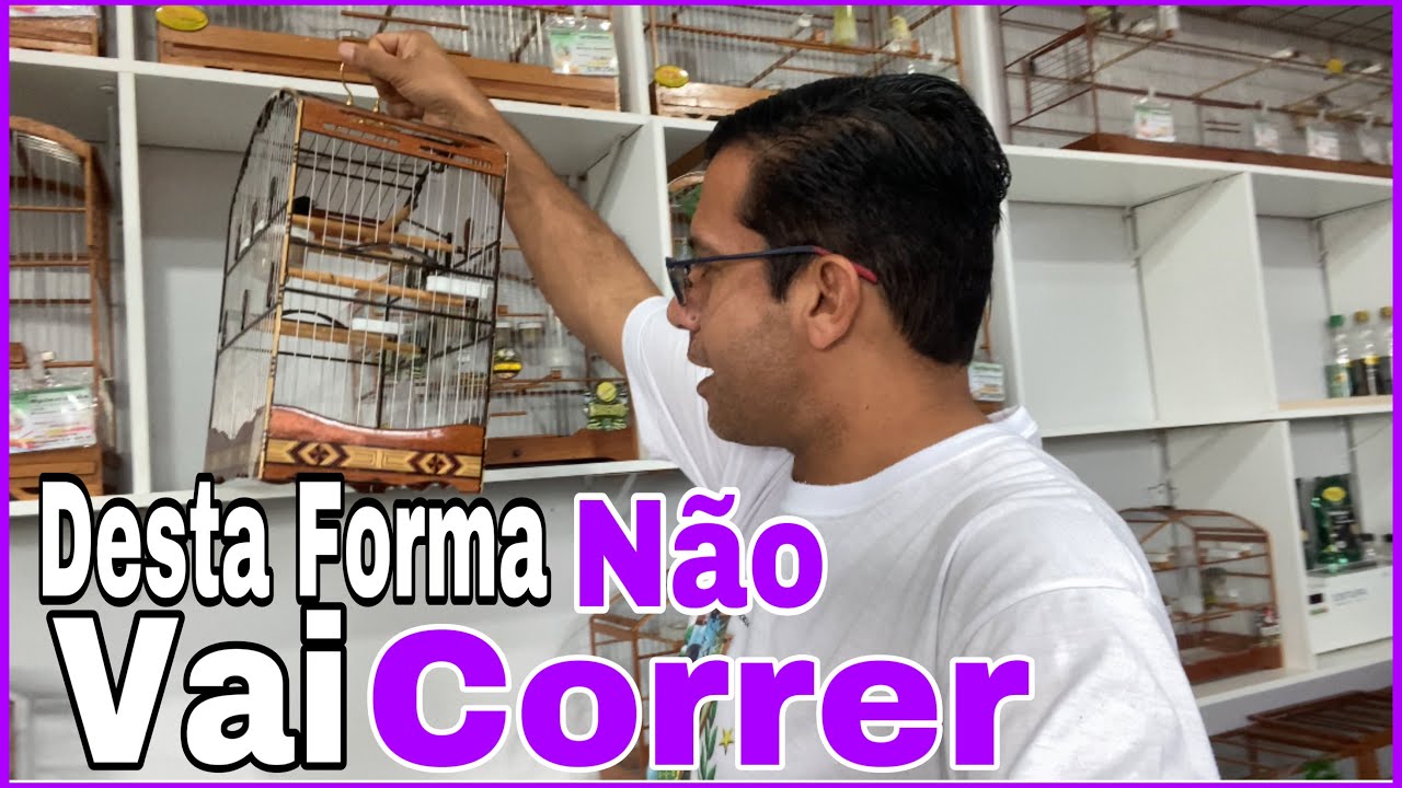 PUXANDO O COLEIRO PELA PRIMEIRA VEZ EM OUTRA CASA