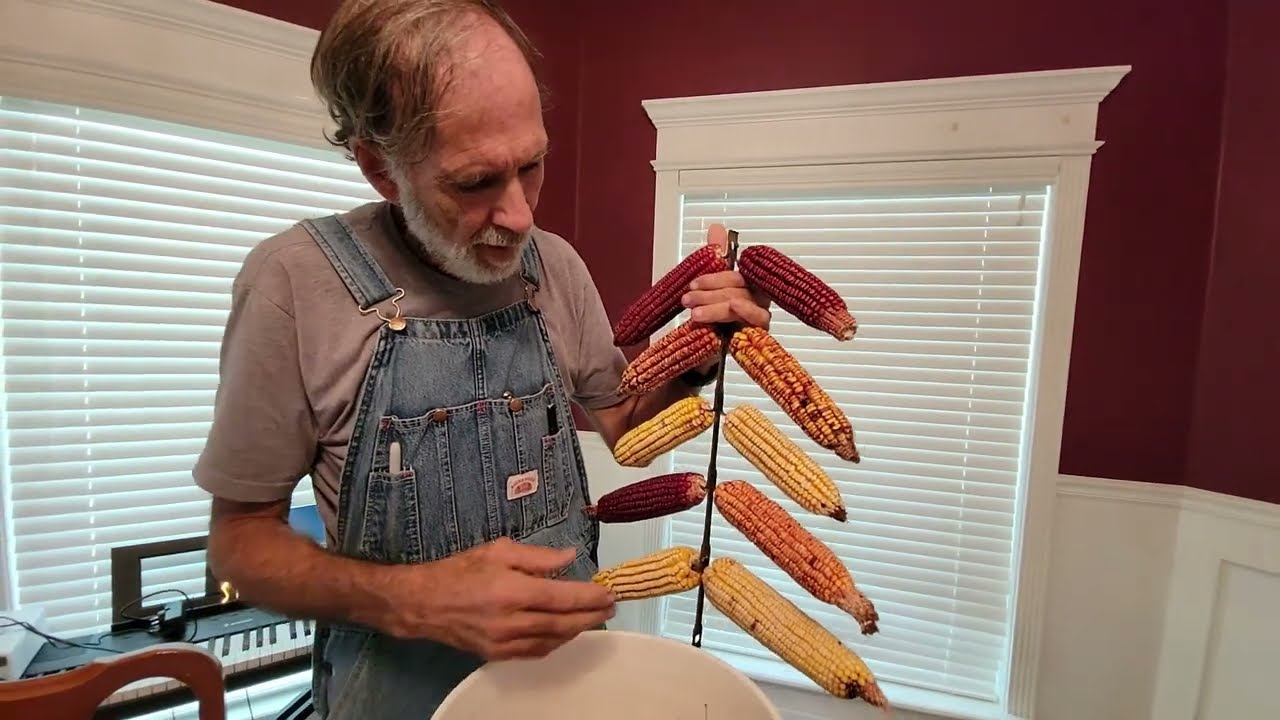 Field Corn: Planting To Harvest | Danny Corn  | Using an Antique Corn Dryer
