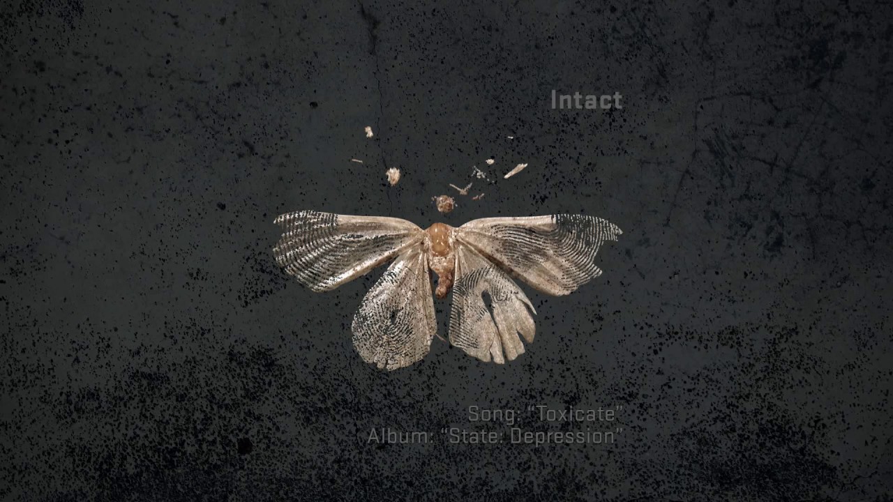 INTACT - Toxicate