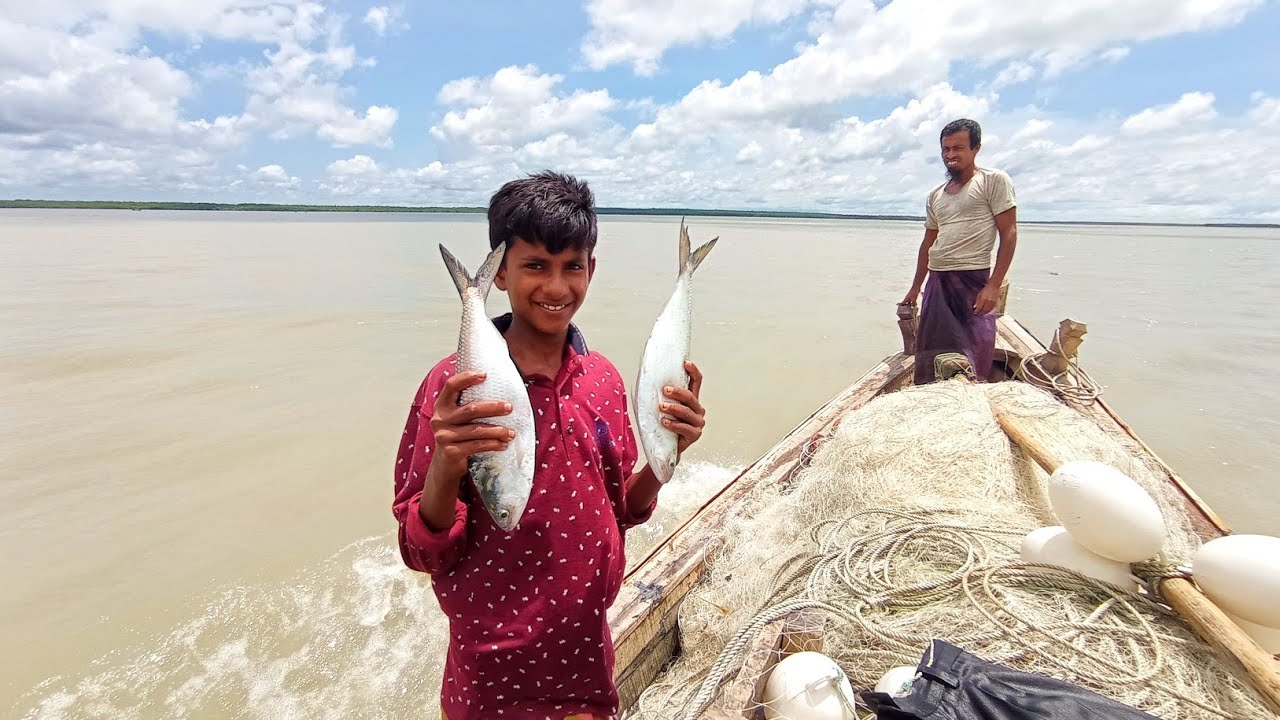 Amazing Fast Hilsa Fishing Skill | Catching Hilsa Fish Big on The Sea | Net Fishing | Village Folksy