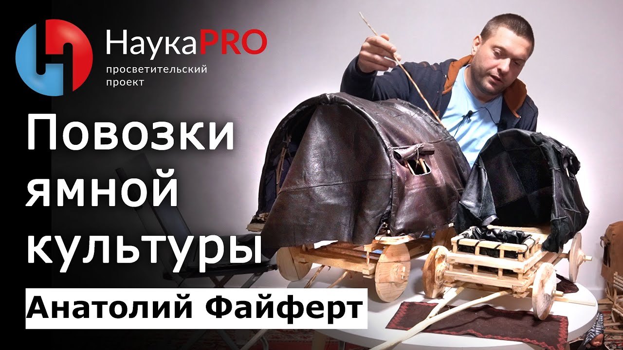 Повозки ямной культуры бронзового века – Анатолий Файферт | Археология | Научпоп