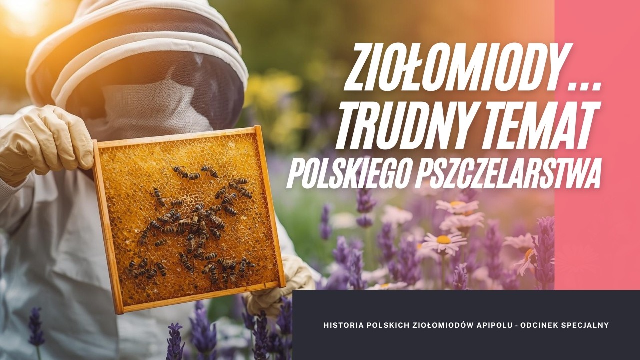 Historia Polskich Ziołomiod&oacute;w #pszczoły