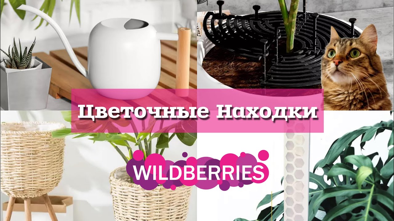Интересные Цветочные Находки с Вайлдберис!!! Онлайн Шоппинг