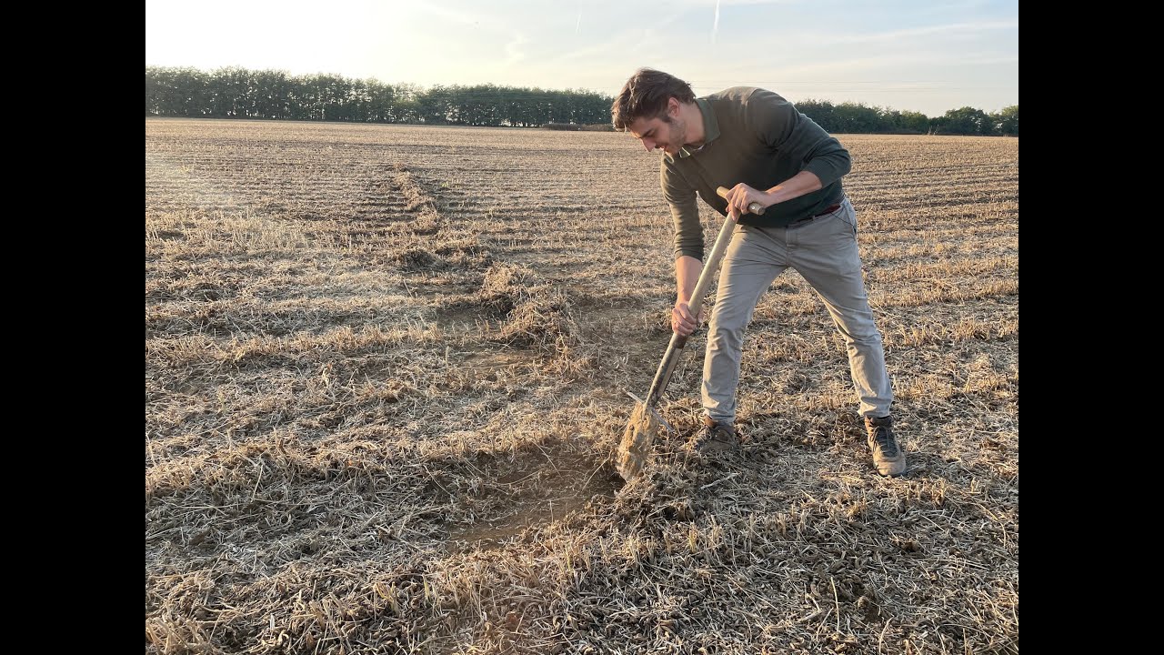 Feldexkursion 205: Was gibt es bei der Sojabohnenernte zu beachten  - N.U. Agrar GmbH, 06.10.2021