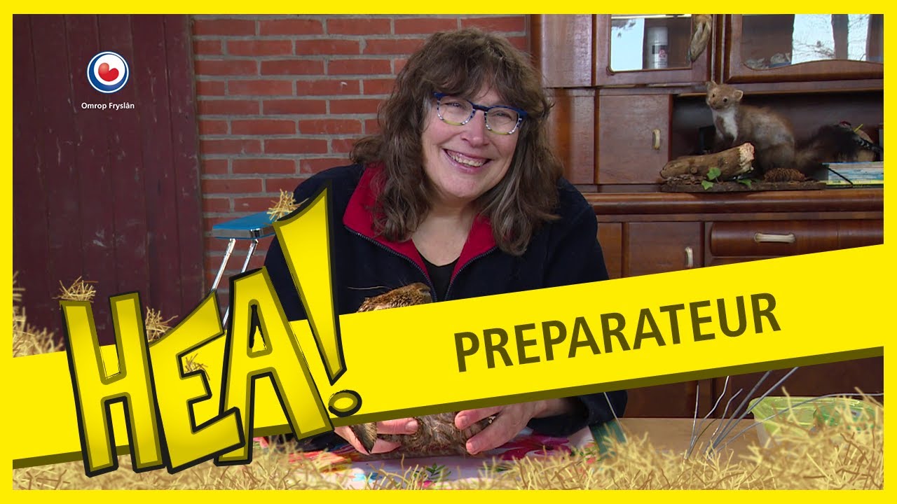 Preparateur Dox | HEA!