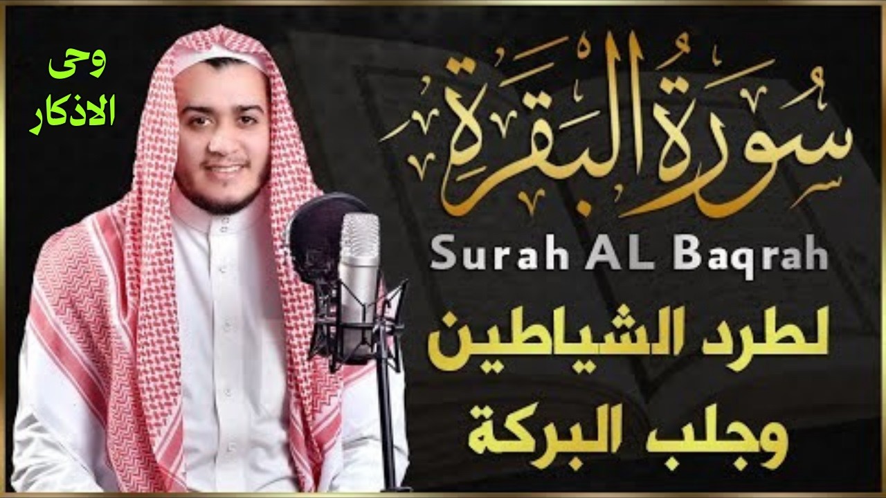 سورة البقرة  لطرد الشياطين وجلب البركة تلاوة هادئة تريح الاعصاب وتهدئ النفس🌿وحى الاذكار Wahy ElAzkar