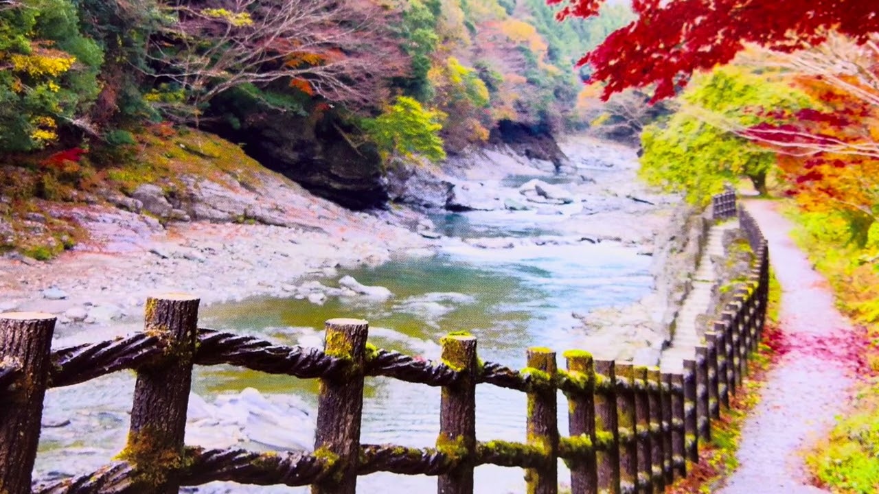 ☆あざみの歌☆伊藤久男／倍賞千恵子💜covered by桜（Sakura)🌸🌸🌸