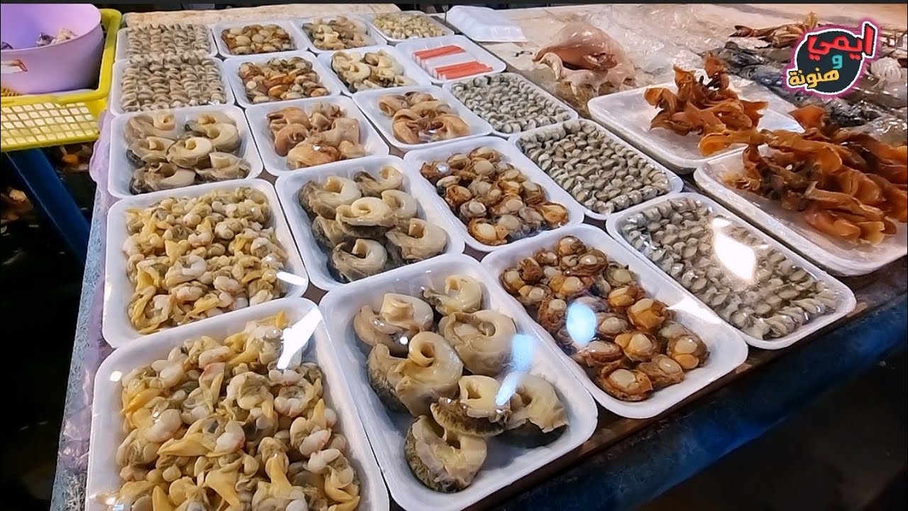 اغرب اكلات البحر من السويس 🇪🇬 فسفور الغلابة 👌 لايأكلها غير السواحلية