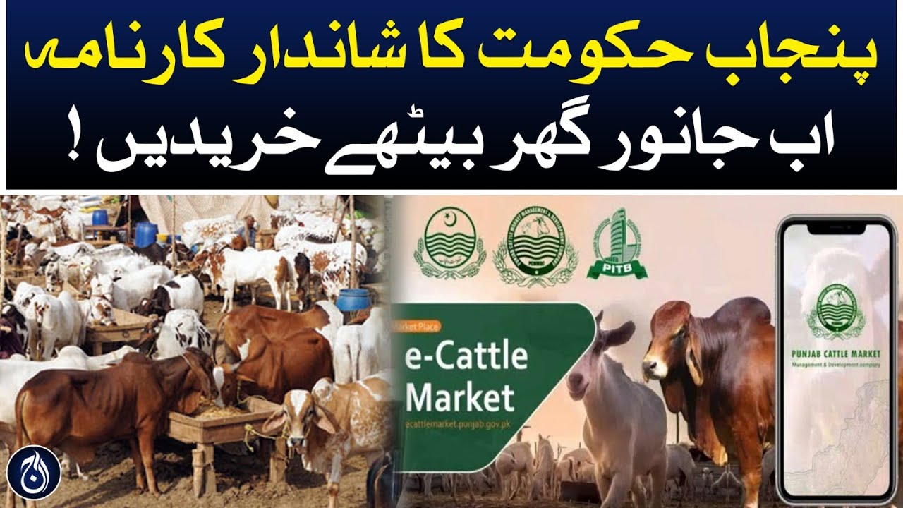 Punjab govt launches online Cattle Market | Aaj News