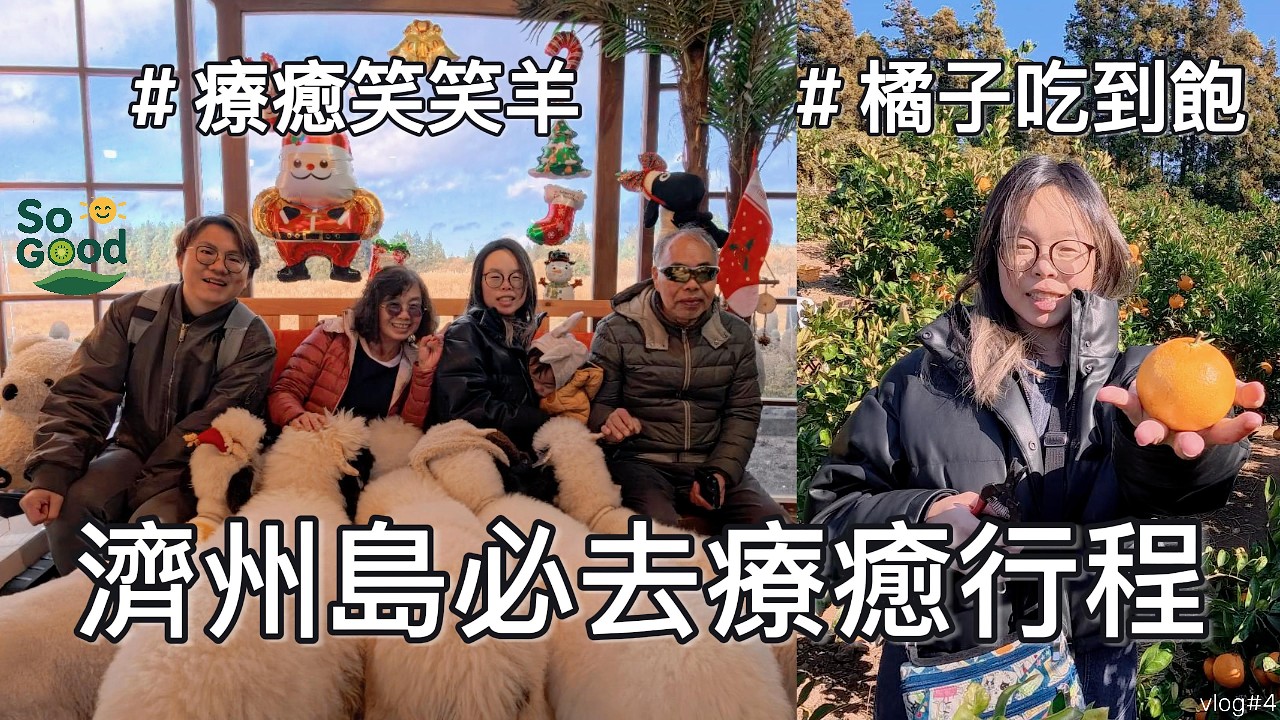 濟州島一日療癒行程｜笑笑羊牧場＋橘子園＋山茶花之丘的一天 🍊🐑 🇰🇷｜韓國雙城 Vlog Part 4