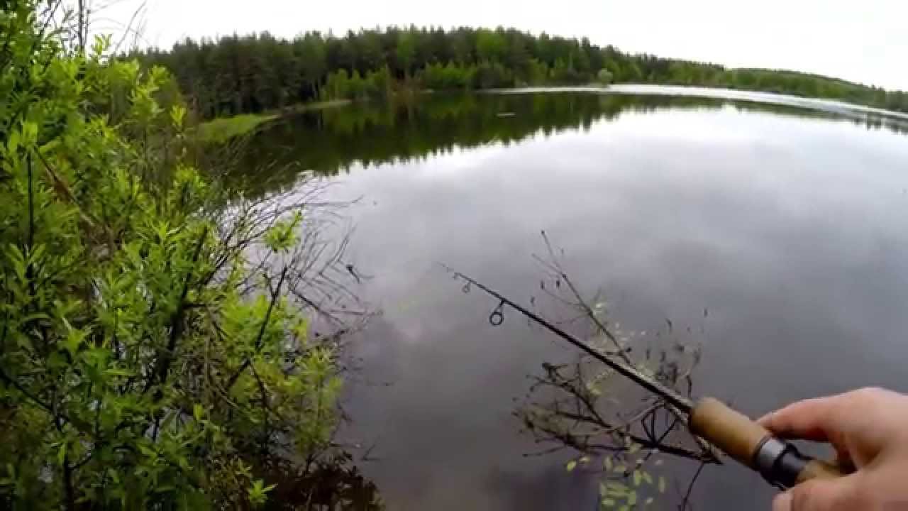 Окунь на воблер Pontoon 21 Crackjack 48