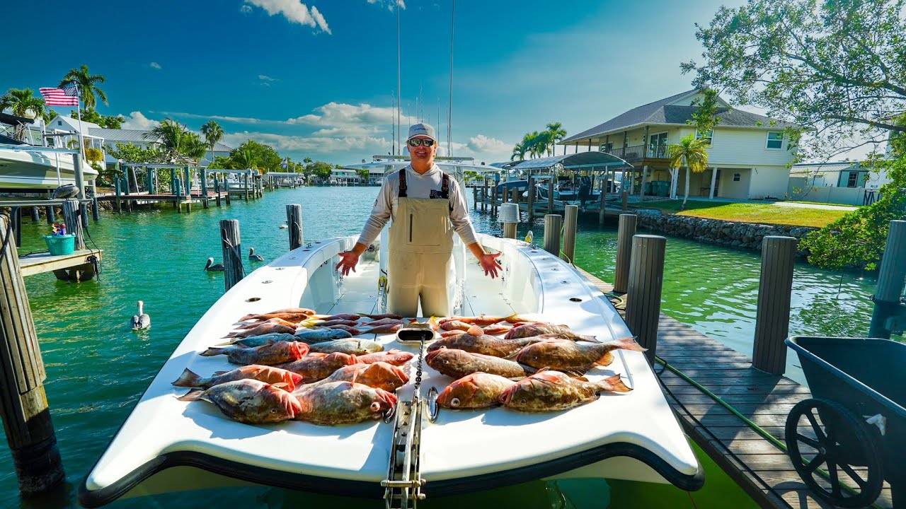 All you can catch GROUPER (One Stop Shop)