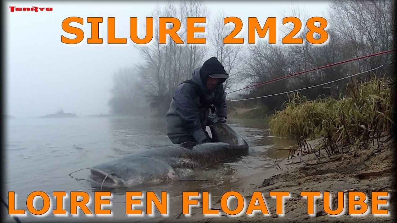 Big silure (2m28) au leurre en directe et en float tube !