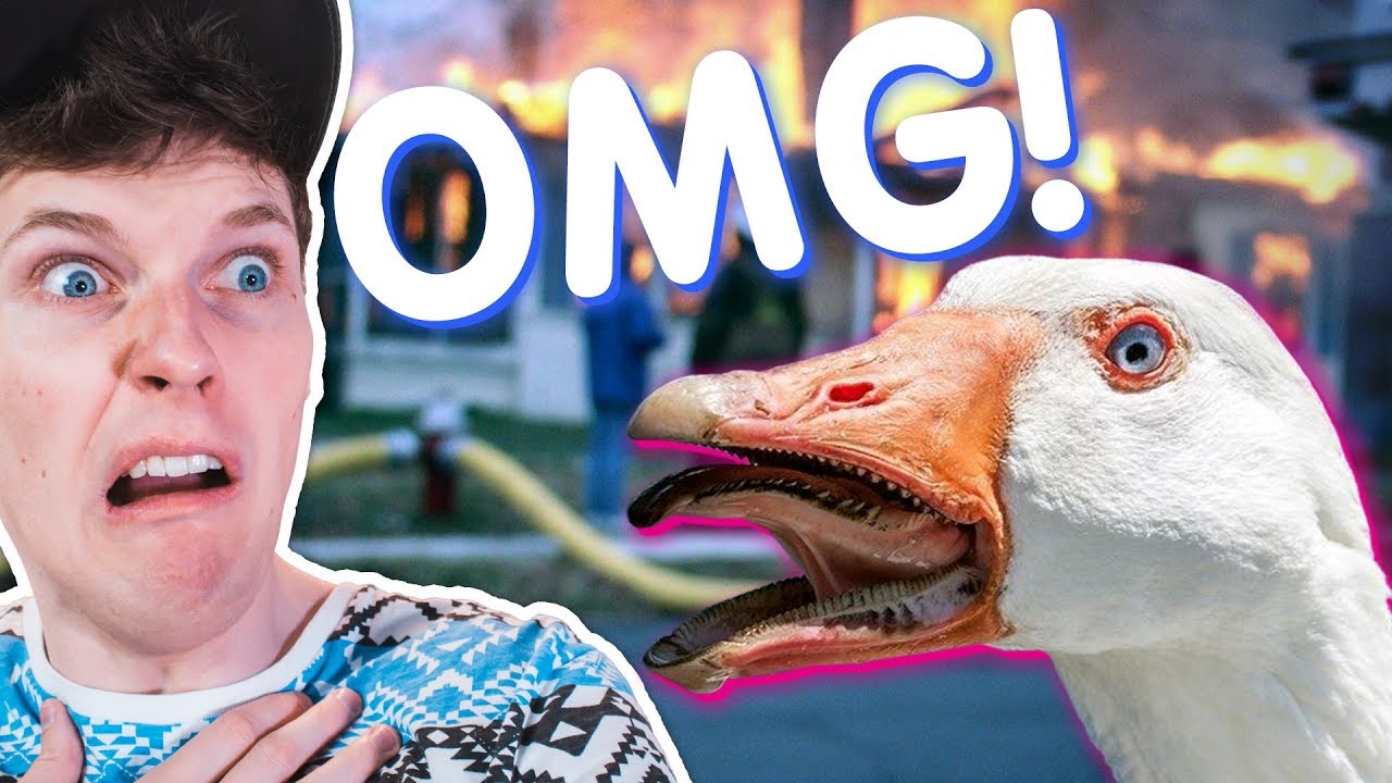 TAIP, A&Scaron; ŽĄSINAS!!! (Untitled Goose Game #1) | Vėjas | Pildyk ofisas